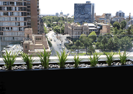 Landscape design